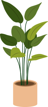 Best heating installers Best heating installers tall plant
